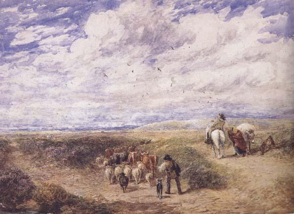 David Cox Keep the Left Road (mk47) France oil painting art